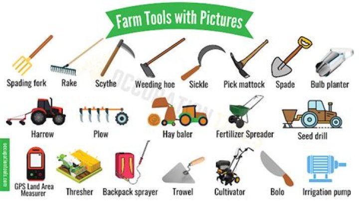 What equipment do you need for cattle farming?