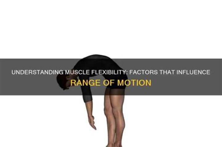 What factors influence range of motion?