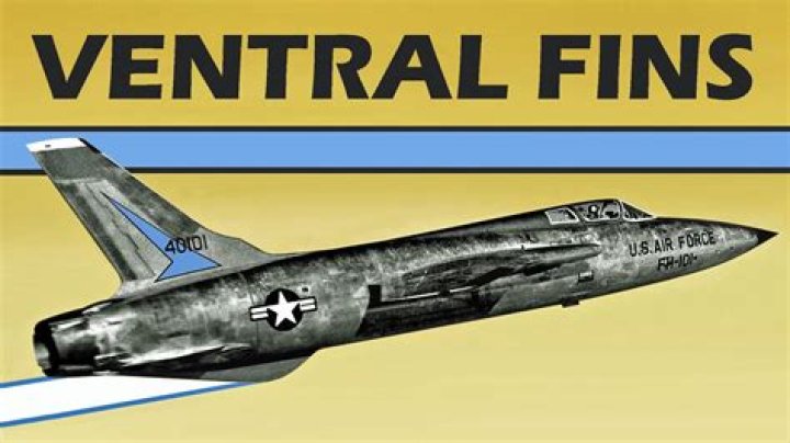 What fins does the military use?