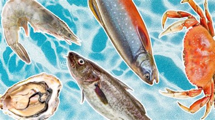 What fish can I eat sustainably?