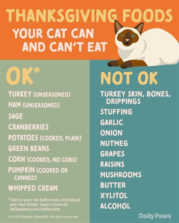 What food is good for my dog's coat?