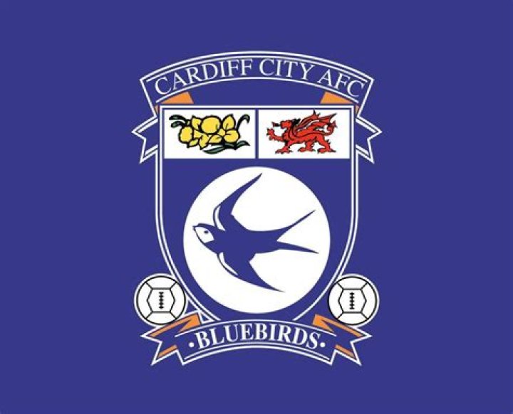 What football league are Cardiff in?