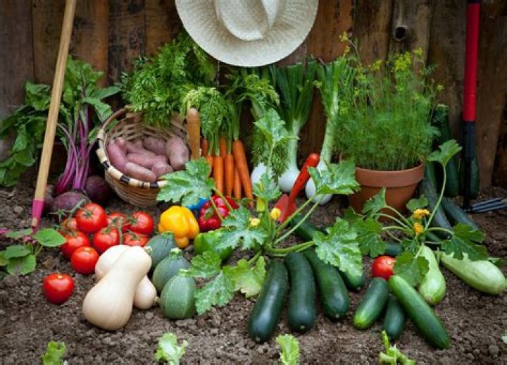 What fruit and veg can you grow in England?