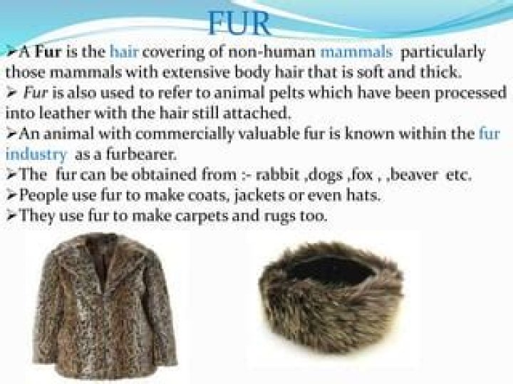 What fur means?