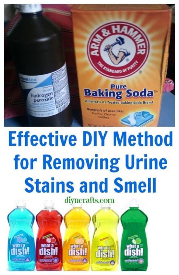 What gets rid of urine smell stains?