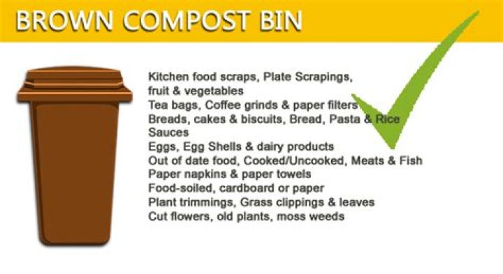 What goes in brown bin?