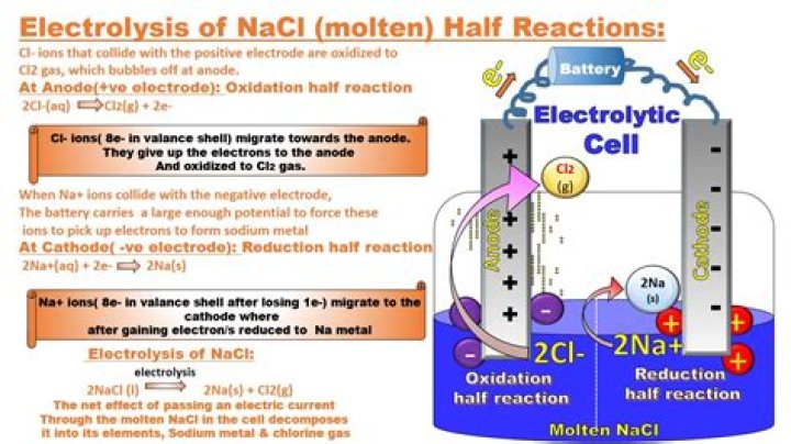 What half reaction occurs at the cathode during the electrolysis of molten sodium chloride?