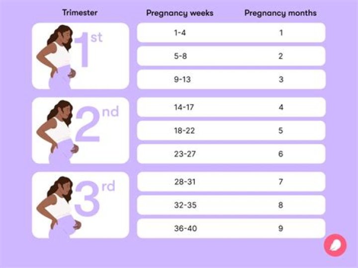 What happened during the 3 weeks?