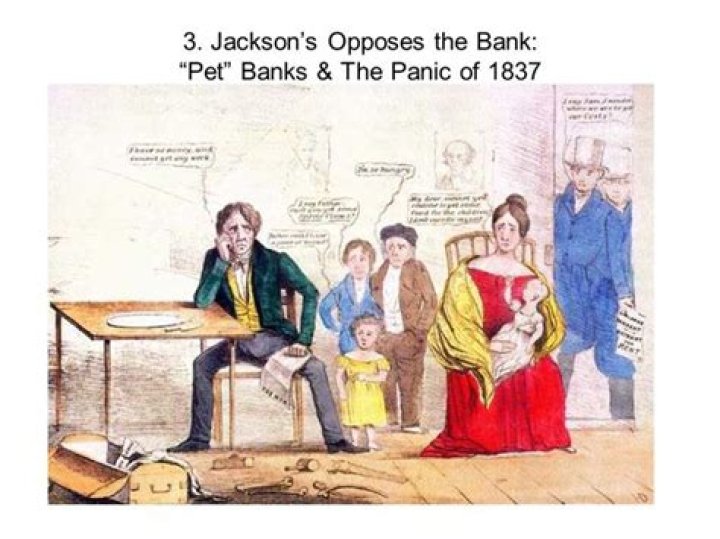What happened to Jackson's pet banks?
