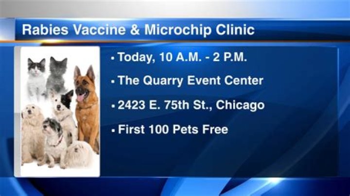 What happens if I don't vaccinate my dog for rabies?
