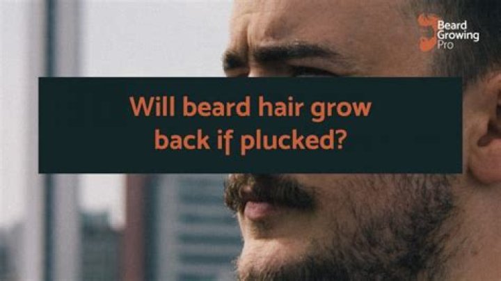 What happens if I pluck my beard?
