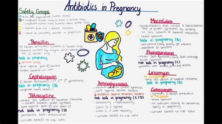 What happens if you fight a pregnant person?