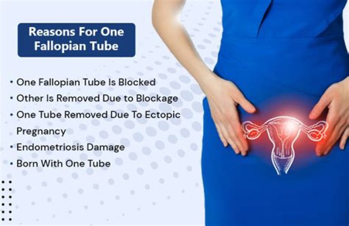 What happens if you lost both fallopian tubes?