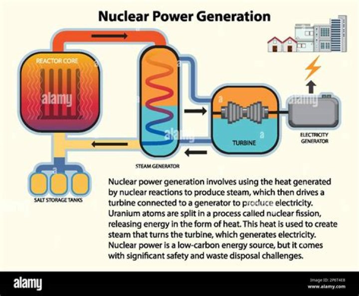 What happens to nuclear power plants after they are closed?