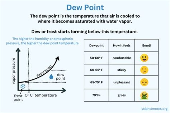 What happens to water vapor at the dew point?