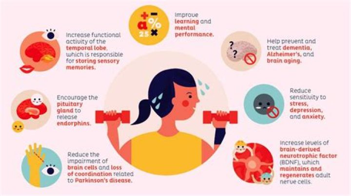 What happens to your brain when you lift weights?