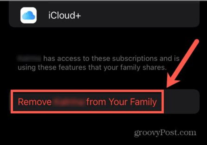 What happens when you stop family sharing on iPhone?