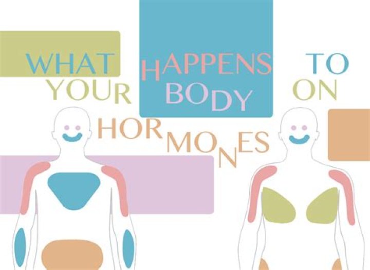 What happens when you take hormones?