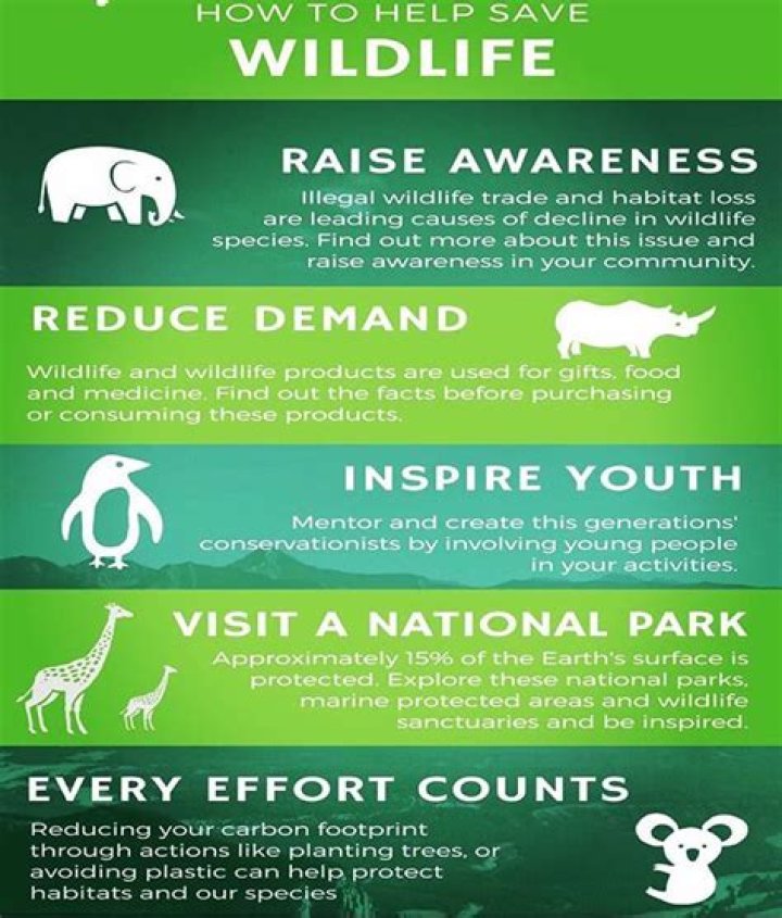 What industry partners do wildlife and sustainability partner with?
