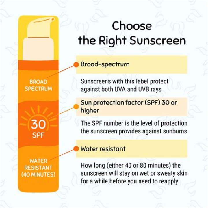 What ingredients should I look for in a night cream?