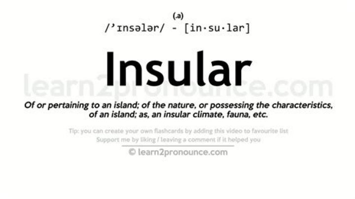 What insular means?