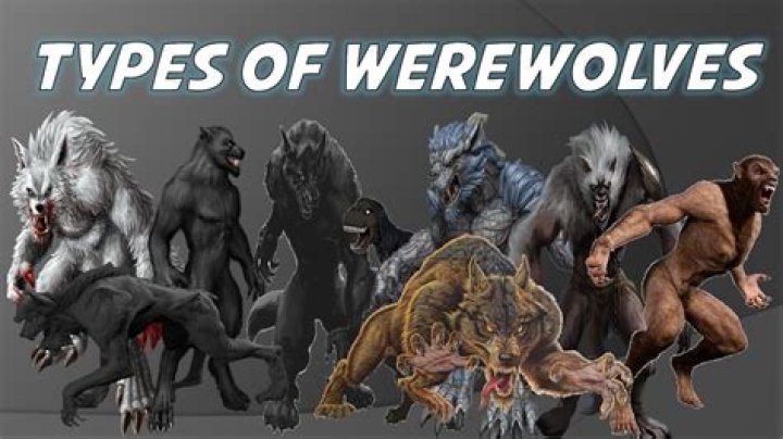 What is a alpha female werewolf called?