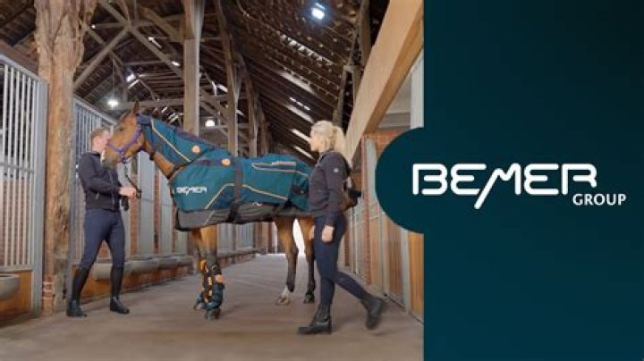 What is a Bemer session?