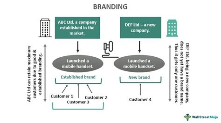 What is a brand risk?