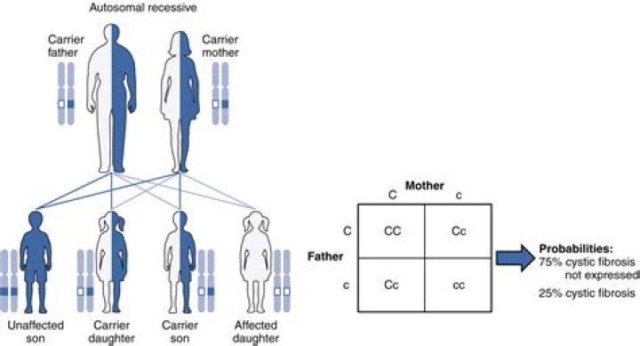 What is a carrier person?