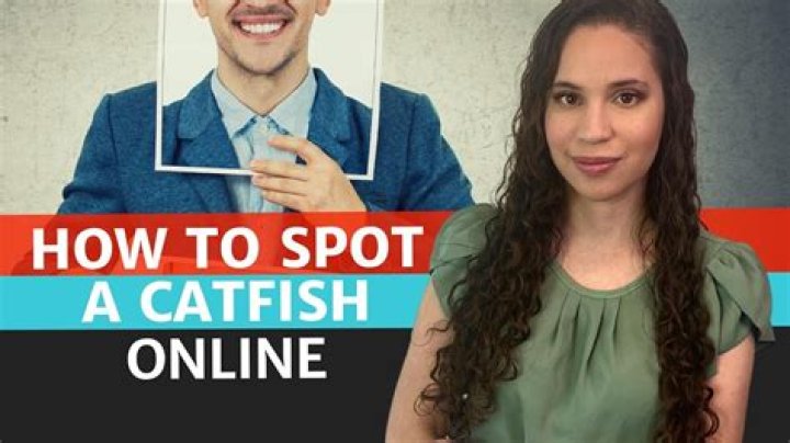 What is a catfish in social media?