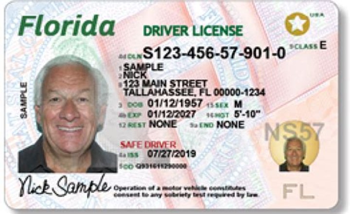 What is a Class D Florida driver's license?