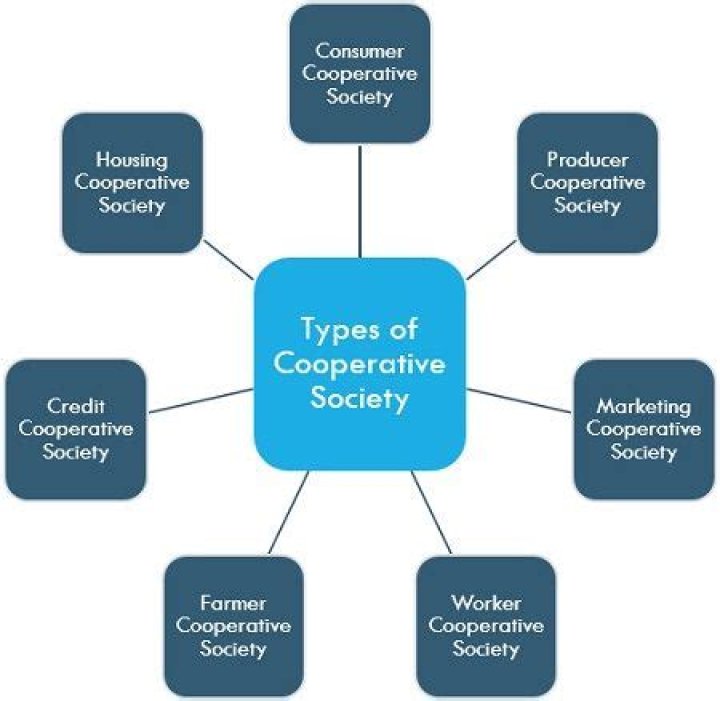 What is a cooperative society in accounting?