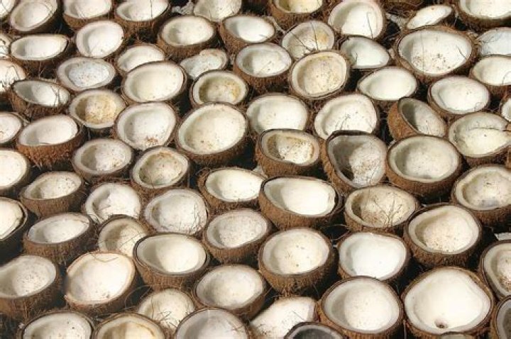 What is a copra in coconut?