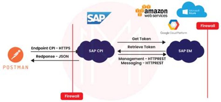 What is a CPI network?