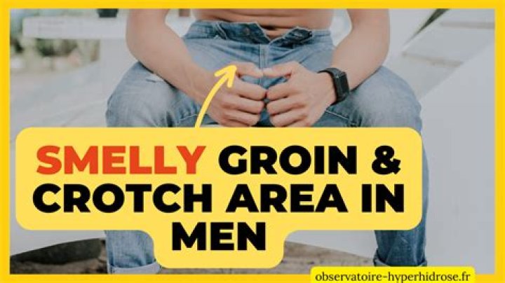 What is a crotch?