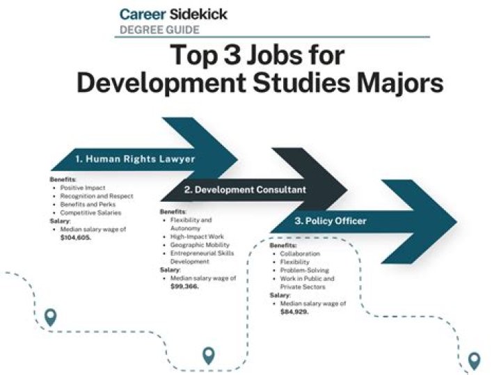 What is a degree in development studies?