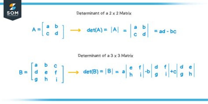 What is a determinant in a matrix?