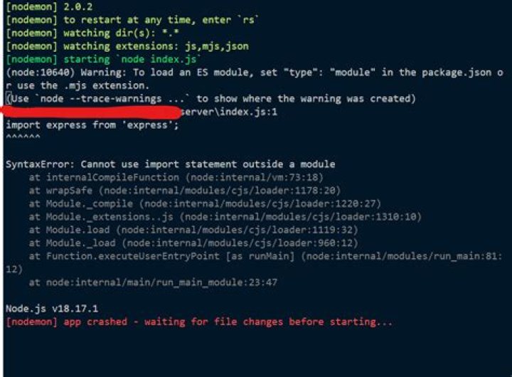 What is a devDependencies in package JSON?