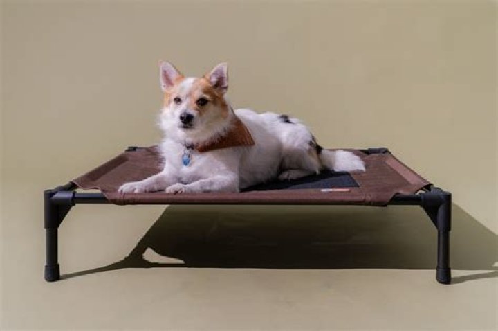 What is a dog cooling bed?