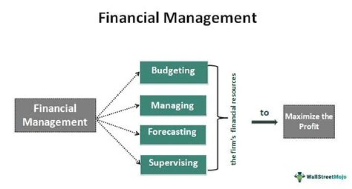 What is a financial management consultant?
