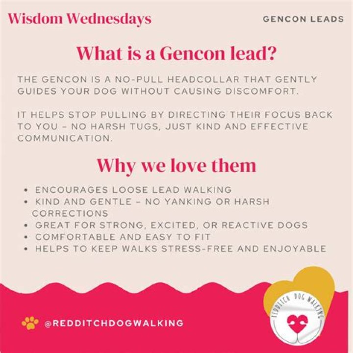 What is a GenCon?