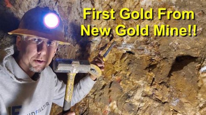 What is a gold miner called?