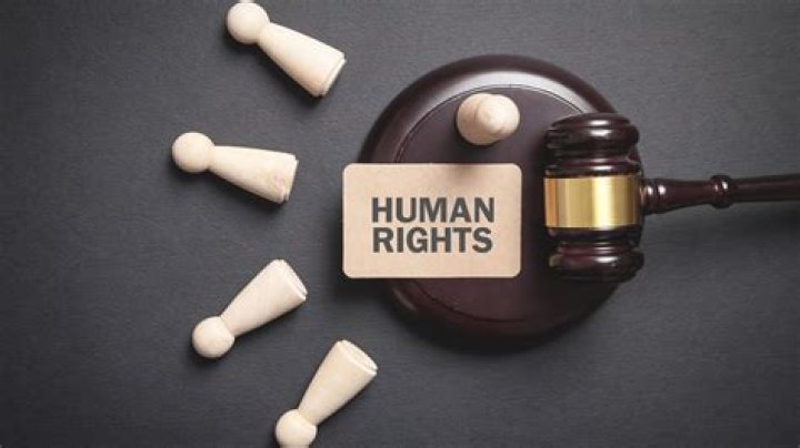 What is a human rights advocate?