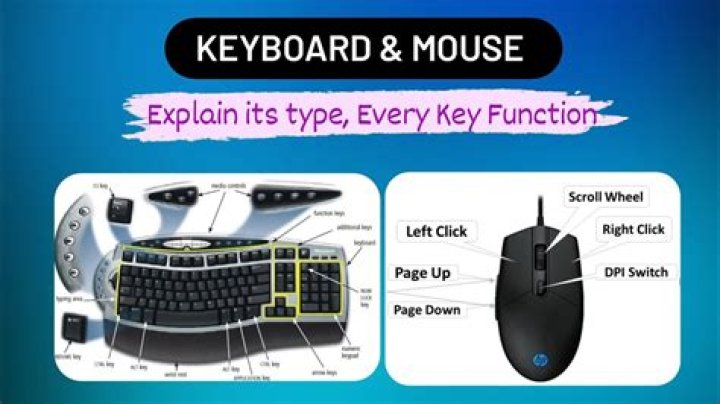 What is a keyboard mouse?
