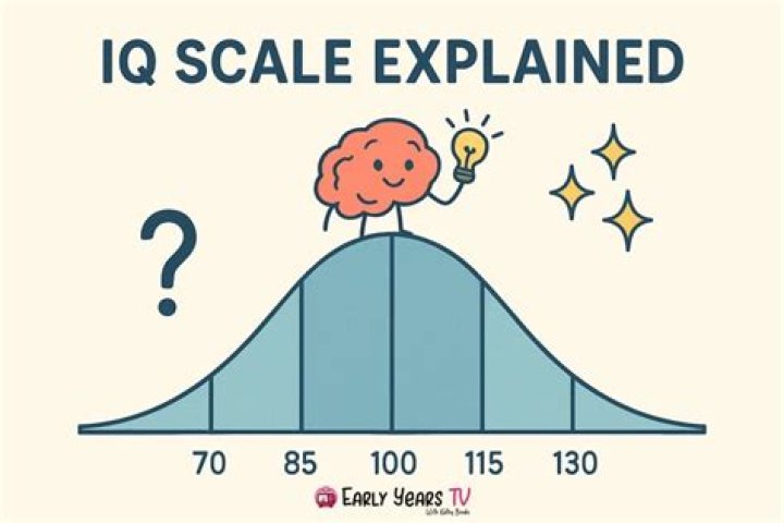 What is a meaning of IQ?