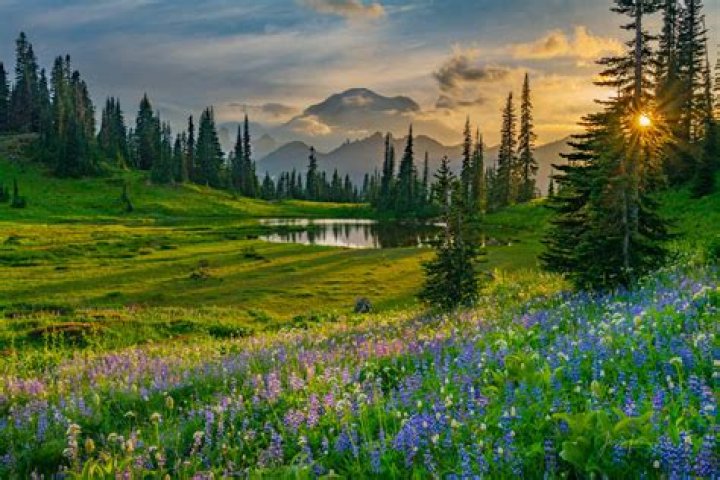 What is a natural photo called?