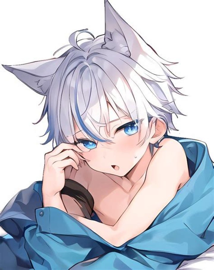 What is a neko boy anime?