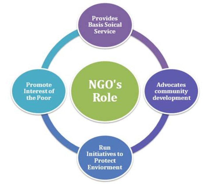 What is a NGO that works in Africa?