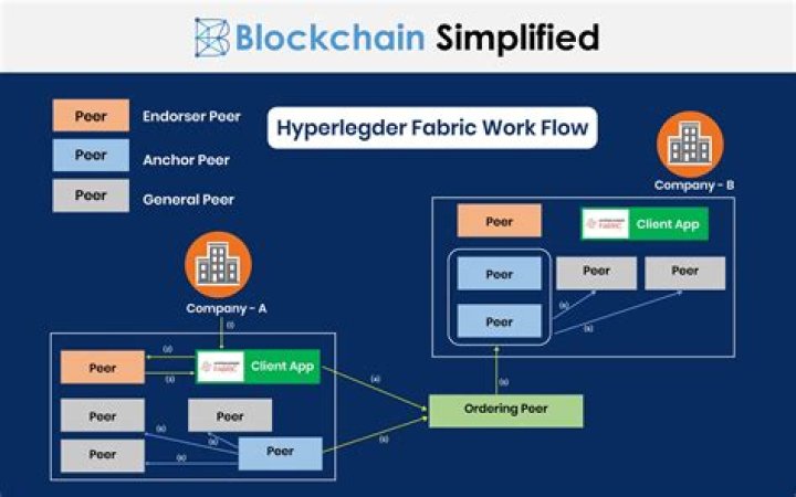 What is a node in Hyperledger fabric?