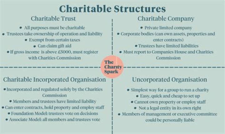 What is a non charitable organization?